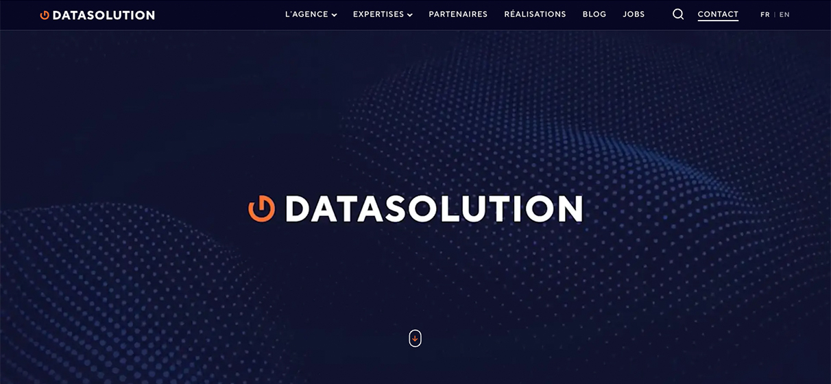 Datasolution